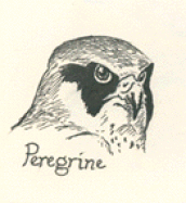 Peregrine Productions - British Insect Identification Plates